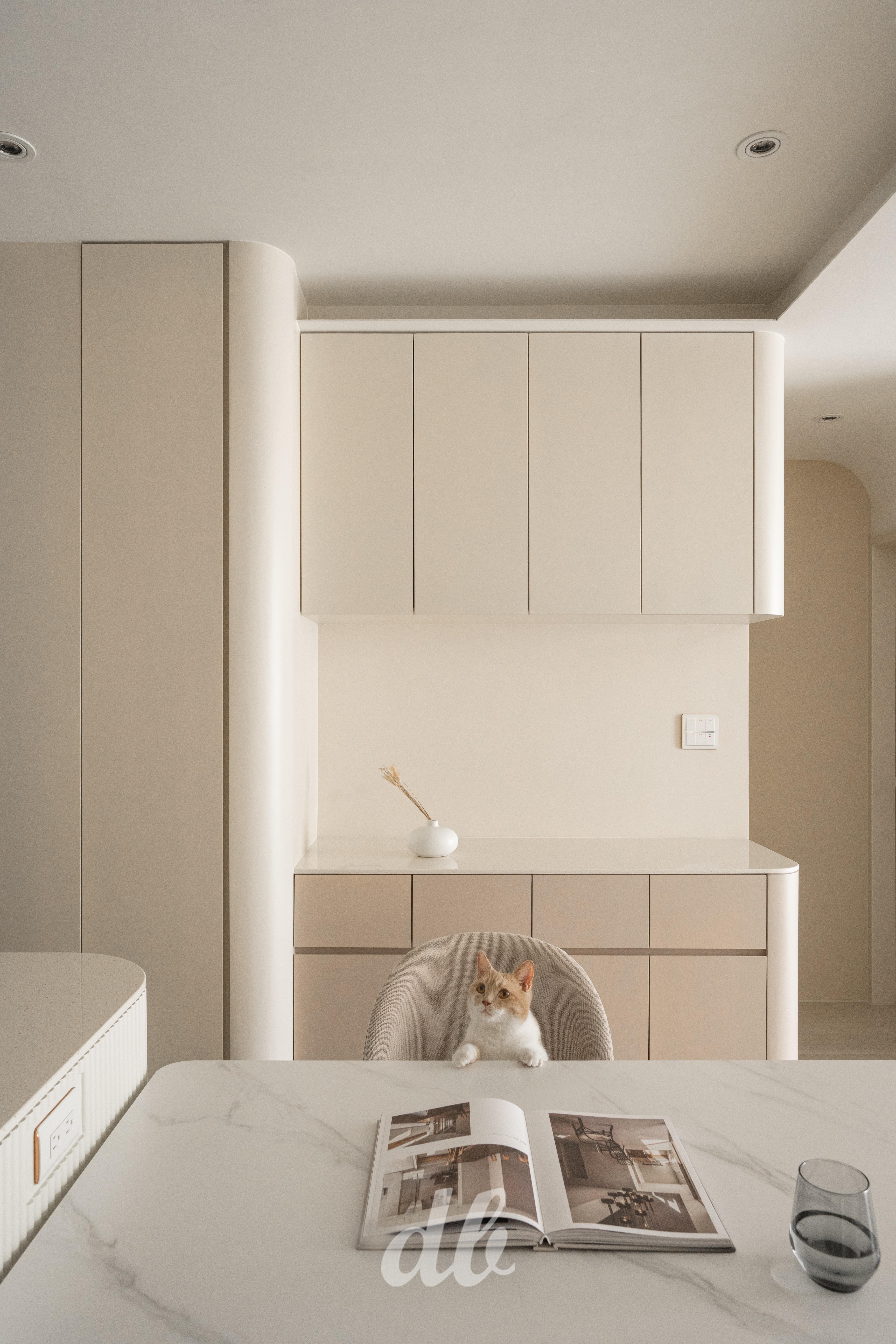 韓式奶油風日造設計案例：奶油色調啞光的圓弧轉角收納餐櫃，結合大理石紋餐桌與溫潤採光，透過簡潔的空間留白與可愛貓咪的日常場景，營造出韓系美學中極具生活溫度且療癒的用餐環境。
